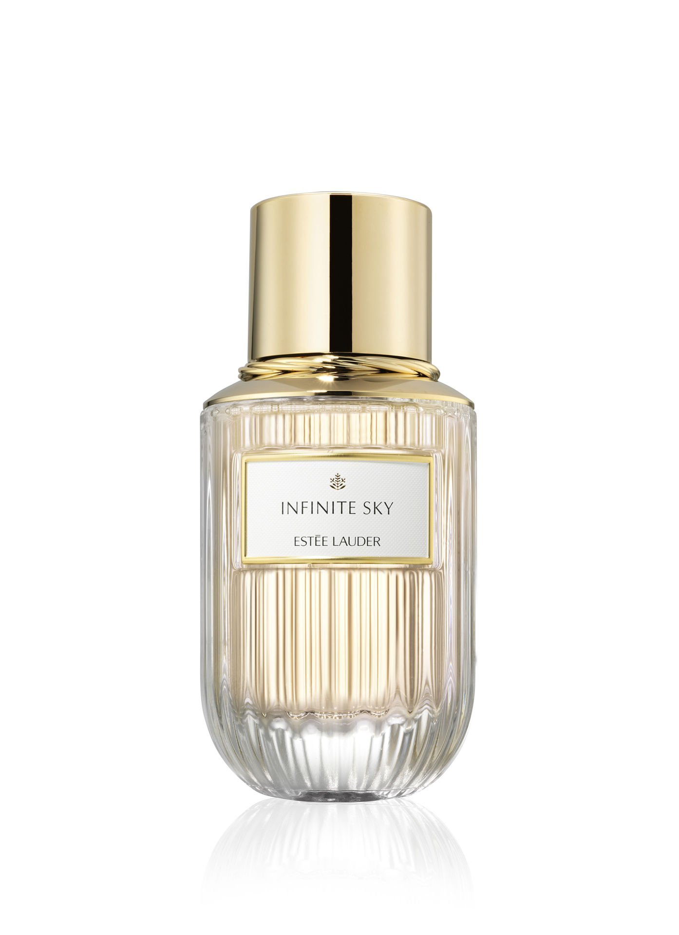 Estee Lauder Infinite Sky Edp 100 Ml
