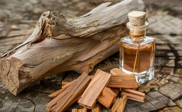 Sandal Ağacı Kokusu İçeren 6 Parfüm Önerisi