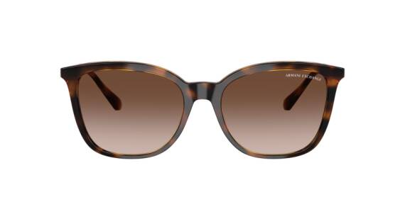 Armani Exchange 0AX4151S 82131355 Kadın Güneş Gözlüğü - 2