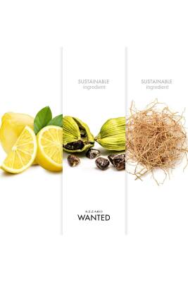 Azzaro Wanted Edt 100 Ml Erkek Parfüm - 4