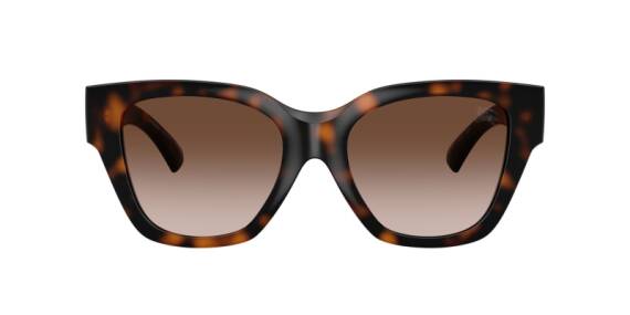 Burberry 0BE4489U - 300213 - 53 NC6 Kadın Güneş Gözlüğü - 2