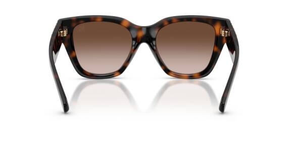 Burberry 0BE4489U - 300213 - 53 NC6 Kadın Güneş Gözlüğü - 4