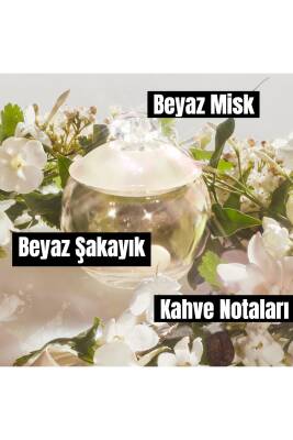 Cacharel Noa Edt 100 Ml - 3