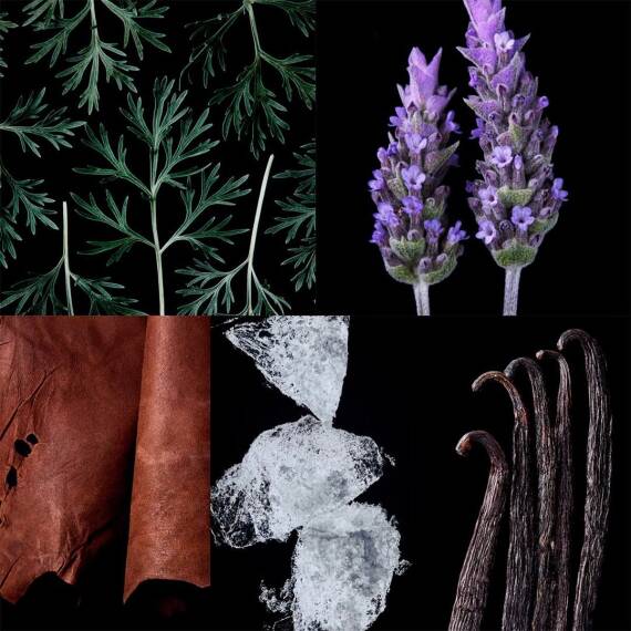 Carolina Herrera 212 Vip Men Black Edp 100 Ml - 4