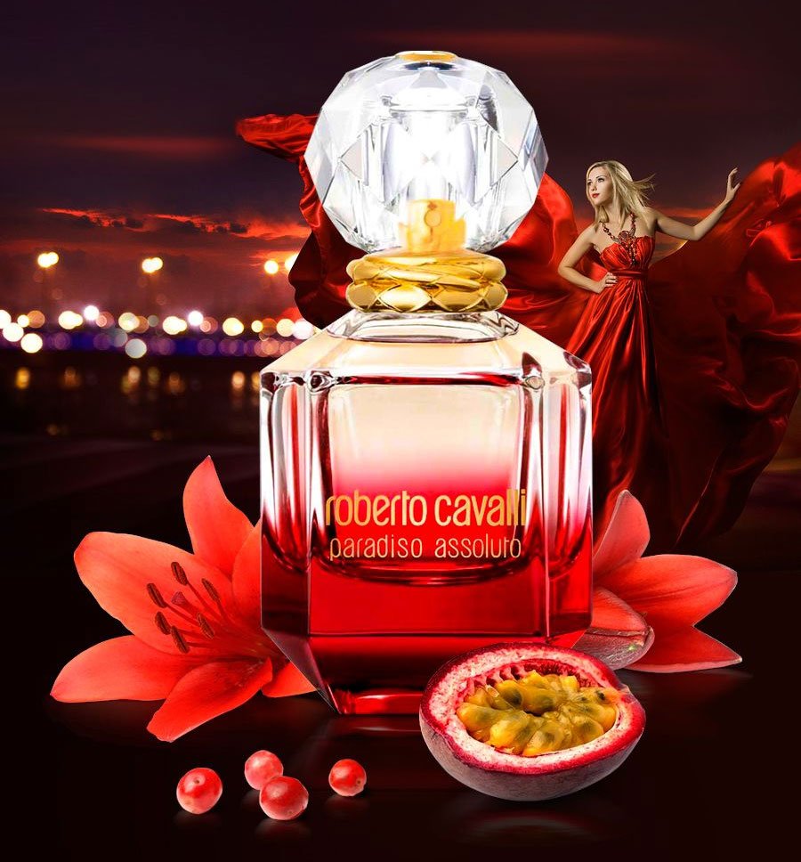 Cavalli paradiso assoluto outlet