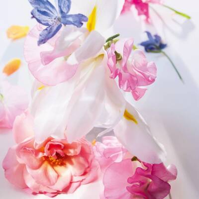 Dior Miss Dior Edp 50 Ml Kadın Parfüm - 3