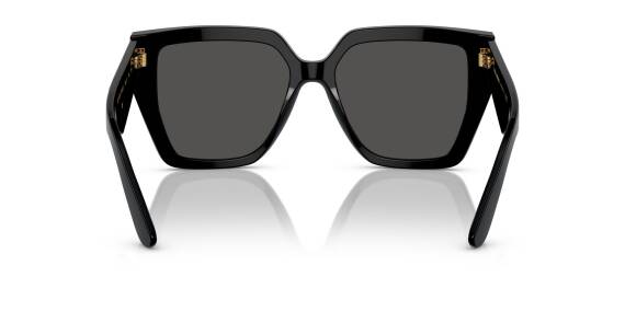 Dolce Gabbana 0DG4438 501/8755 Kadın Gözlük - 3
