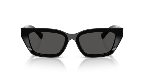 Dolce Gabbana 0DG4532 - 501/87 - 53 NC6 Kadın Güneş Gözlüğü - 2