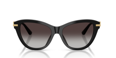 Dolce Gabbana 0DG4534 - 501/8G - 53 NC6 Kadın Güneş Gözlüğü - 2