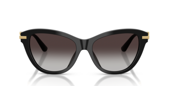 Dolce Gabbana 0DG4534 - 501/8G - 53 NC6 Kadın Güneş Gözlüğü - 2