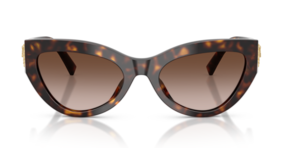 Dolce Gabbana 0DG4536 - 502/13 - 55 NC6 Kadın Güneş Gözlüğü - 2