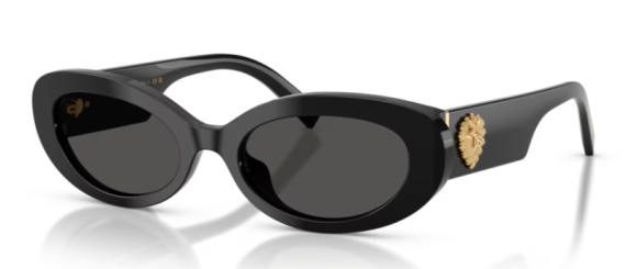 Dolce Gabbana 0DG4537 - 501/87 - 53 NC6 Kadın Güneş Gözlüğü - 1