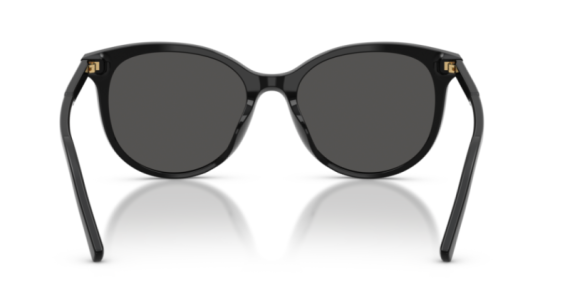 Dolce Gabbana 0DG4540 - 501/87 - 55 NC6 Kadın Güneş Gözlüğü - 4