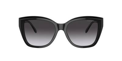 Emporio Armani 0EA4198 50178G55 Kadın Güneş Gözlüğü - 2