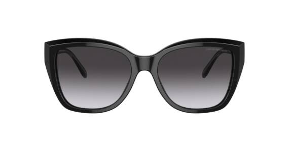 Emporio Armani 0EA4198 50178G55 Kadın Güneş Gözlüğü - 2