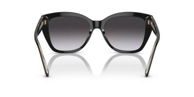 Emporio Armani 0EA4198 50178G55 Kadın Güneş Gözlüğü - 3