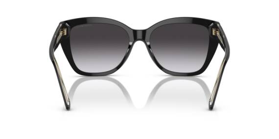 Emporio Armani 0EA4198 50178G55 Kadın Güneş Gözlüğü - 3