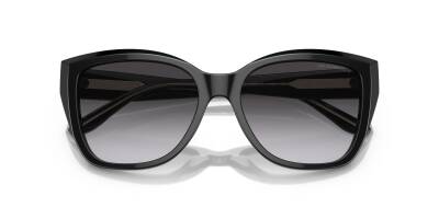 Emporio Armani 0EA4198 50178G55 Kadın Güneş Gözlüğü - 4