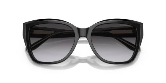 Emporio Armani 0EA4198 50178G55 Kadın Güneş Gözlüğü - 4