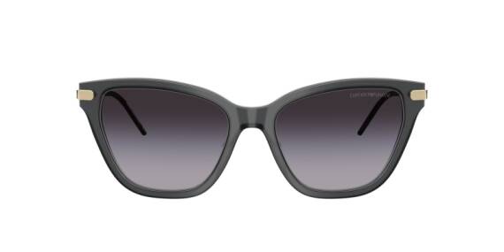 Emporio Armani 0EA4251 62628G54 Kadın Güneş Gözlüğü - 2