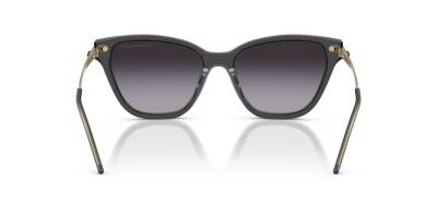 Emporio Armani 0EA4251 62628G54 Kadın Güneş Gözlüğü - 3