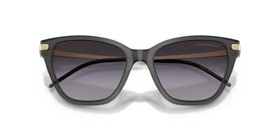 Emporio Armani 0EA4251 62628G54 Kadın Güneş Gözlüğü - 4