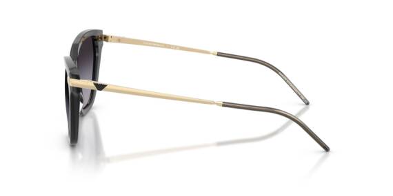 Emporio Armani 0EA4251 62628G54 Kadın Güneş Gözlüğü - 5