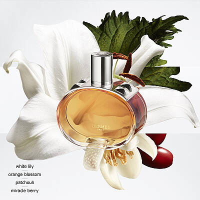 Hermes Barenia Pleine Fleur Edp 60 Ml - 3