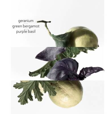 Hermes Colognes Eau De Basilic Pourpre Edc 200 Ml Erkek Parfüm - 3