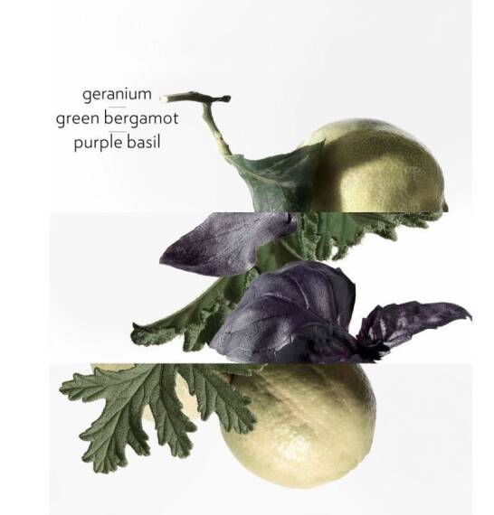 Hermes Colognes Eau De Basilic Pourpre Edc 200 Ml Erkek Parfüm - 3