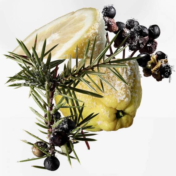 Hermes Terre D'Hermes Eau Givree Edp 100 Ml Erkek Parfüm - 3