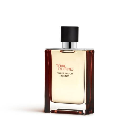 Hermes Terre D'Hermes Intense Edp 100 Ml Erkek Parfüm - 3