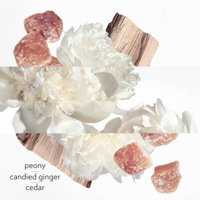 Hermes Twilly D'Hermes Eau Ginger Edp 50 Ml Kadın Parfüm - 4