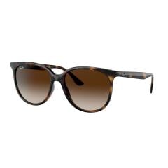 Ray-Ban 0RB4378710/1354 Kadın Gözlük