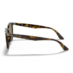 Ray-Ban 0RB4258 710/73 50 Unisex Gözlük