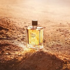 Hermes Terre D'Hermes Eau Intense Vetiver Edp 100 Ml