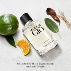 Giorgio Armani Acqua Di Gio Homme Edp 100 Ml