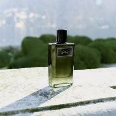 Brioni Essentiel Edp 100 Ml + Shower Gel 150 Ml