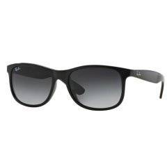 Ray-Ban 0RB4202-601/8G55 Erkek Gözlük