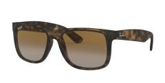 Ray-Ban 0RB4165 -865/T555 Erkek Gözlük