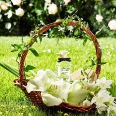 Dolce Gabbana Dolce Edp 75 Ml