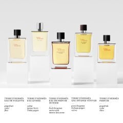 Hermes Terre D'Hermes Intense Edp 100 Ml