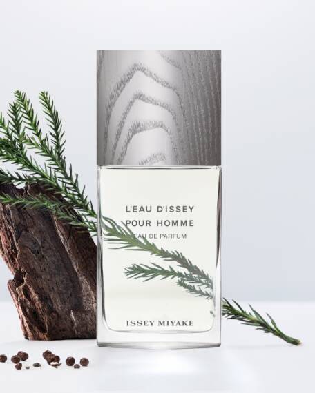 Issey Miyake L'Eau D'Issey Pour Homme Edp 125 Ml Erkek Parfüm - 2