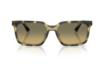 Michael Kors 0MK2282U - 4029L0 - 55 NC6 Erkek Güneş Gözlüğü - 4