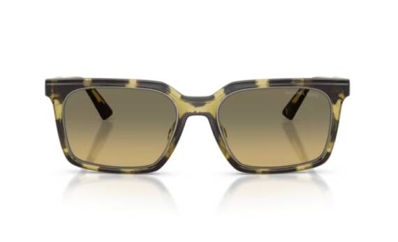 Michael Kors 0MK2282U - 4029L0 - 55 NC6 Erkek Güneş Gözlüğü - 4
