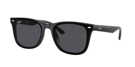 Ray-Ban 0RB4420 601/8765 Unisex Güneş Gözlüğü - 1