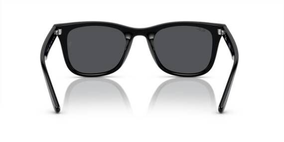 Ray-Ban 0RB4420 601/8765 Unisex Güneş Gözlüğü - 4