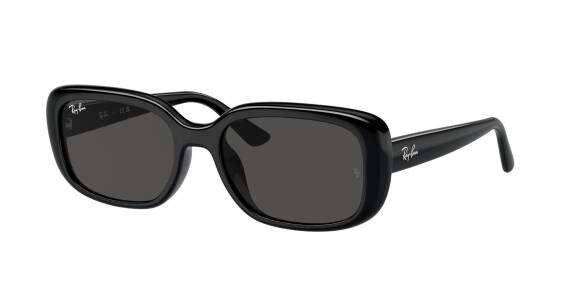 Ray-Ban 0RB4421D 66778756 Erkek Gözlük - 1