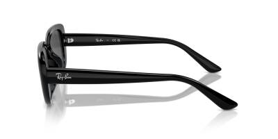 Ray-Ban 0RB4421D 66778756 Erkek Gözlük - 5