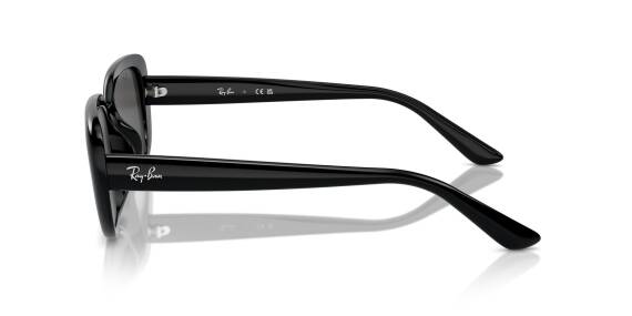 Ray-Ban 0RB4421D 66778756 Erkek Gözlük - 5